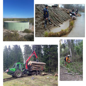 Més informació sobre l'article Actuacions al medi natural: ampliació del BEDEC